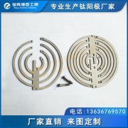 制氫鉑電極 富氫水杯鉑電極 釕銥鈦電極